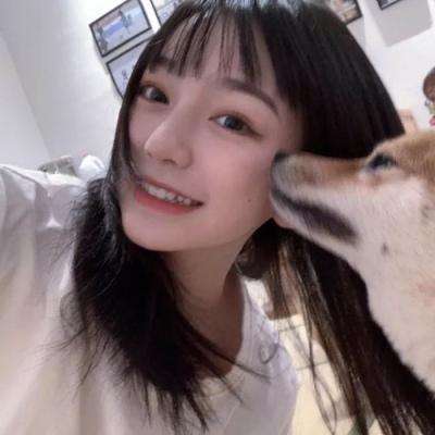 侍忍者果盘版下载